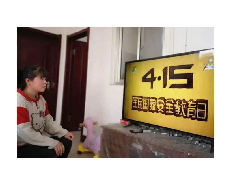 我校开展“全民国家安全教育日”系列活动