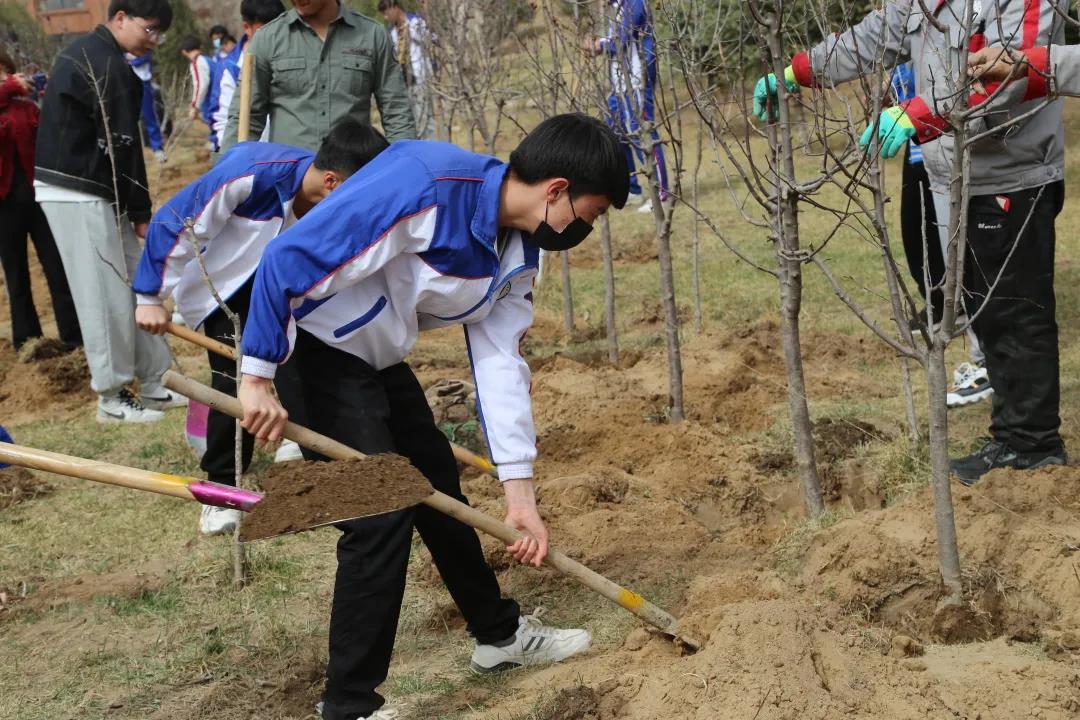 劳动教育-植树先培根，育人先养性(图4)