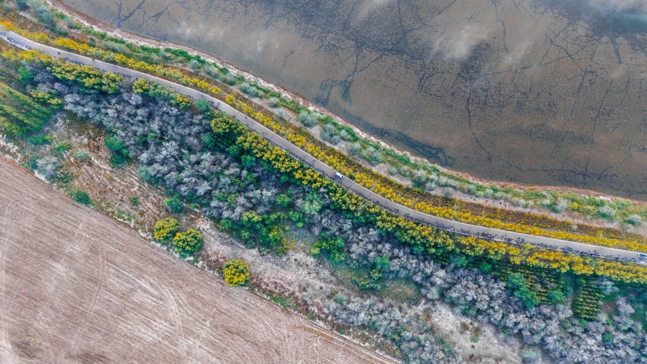 塞上宁商路 行走悟初心 | 我校全体师生开展“行走的思政课”主题活动(图24)